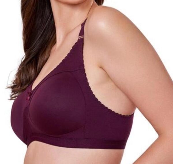 bra-2 - Image 2