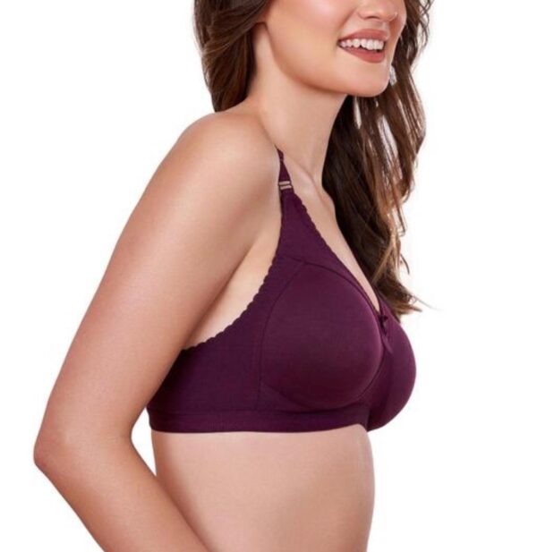 bra-2 - Image 3