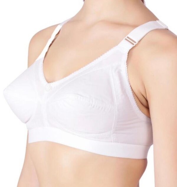 bra-3 - Image 2