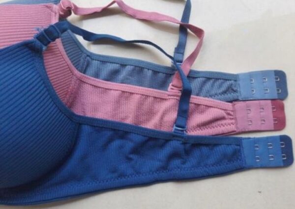 Femsie Pack Of 2 Padded Non-wired Back Closure Bra - Image 3